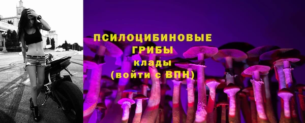 МДПВ Армянск