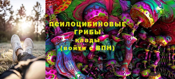 ешки Надым