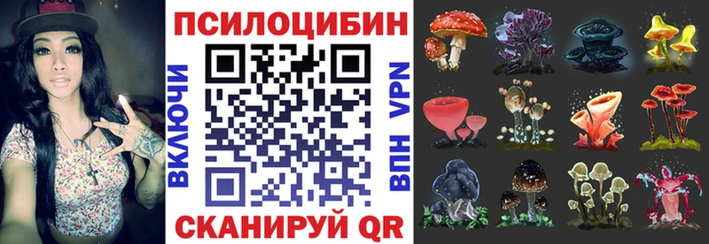 магазин  наркотиков  Вытегра  гидра маркетплейс  Галлюциногенные грибы Psilocybe 